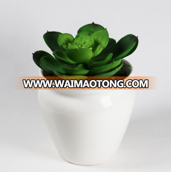 Plastic Material and As Picture Color artificial cactus succulent