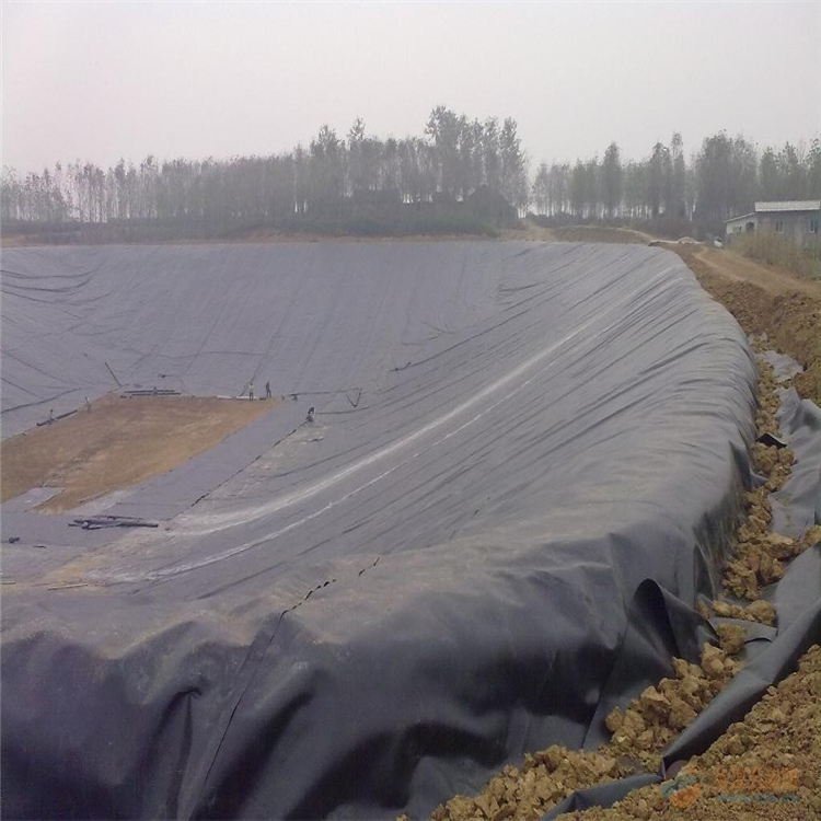 1.5mm,2mm thick hdpe geomembrane price/epdm blue pond liner