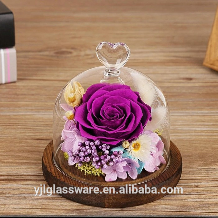 2018 hot selling hand made mini glass dome for home decoration