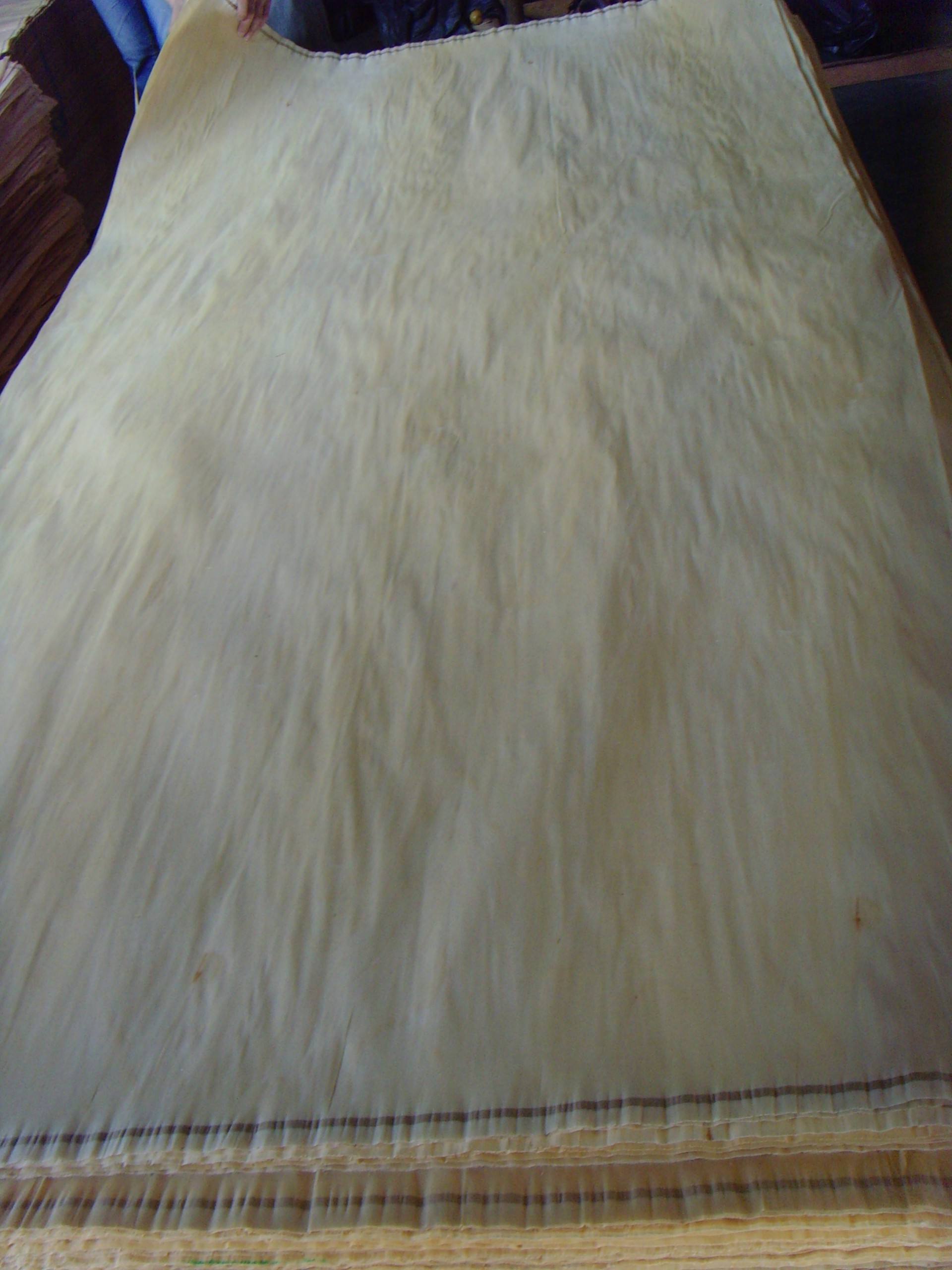 ROTARY CUT CHINA BIRCH WOOD VENEER