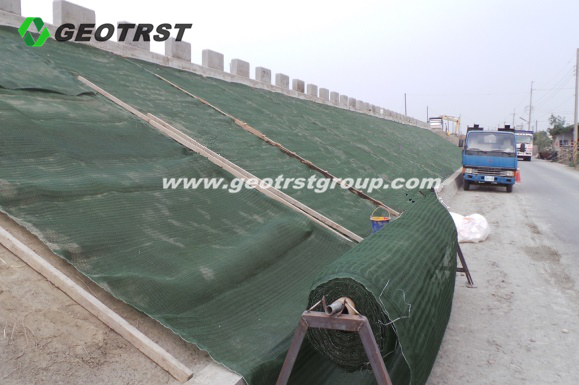 3D Tri-Dimension Plastic Geomat geotextile fabric