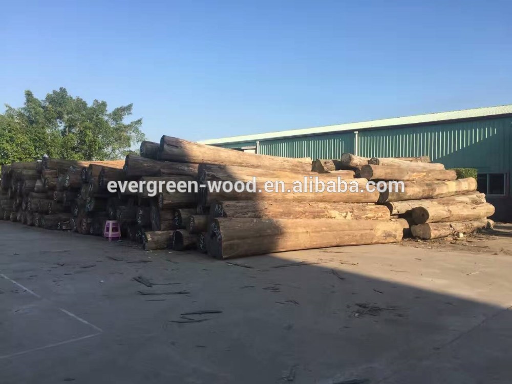 raw wood logs natural teak wood burma teak