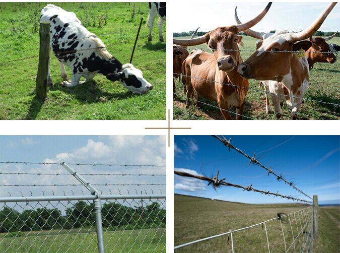 China manufacture high quality farm fence electric netting fence cattle fence used