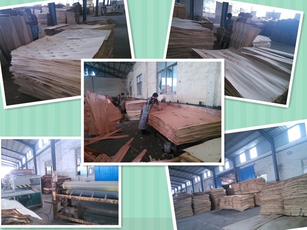 Cheap OSB Board Price/osb Manufacturers From Linyi in China