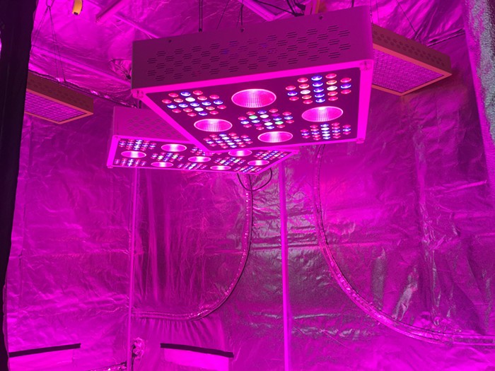 2 years warranty medical plants growing full specturum wifi control 1500w Veg bloom switch COB LED grow light