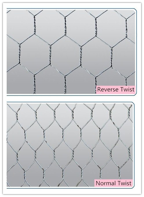 Twisted Galvanized chicken wire netting / pvc coated galvanized hexagonal wire mesh