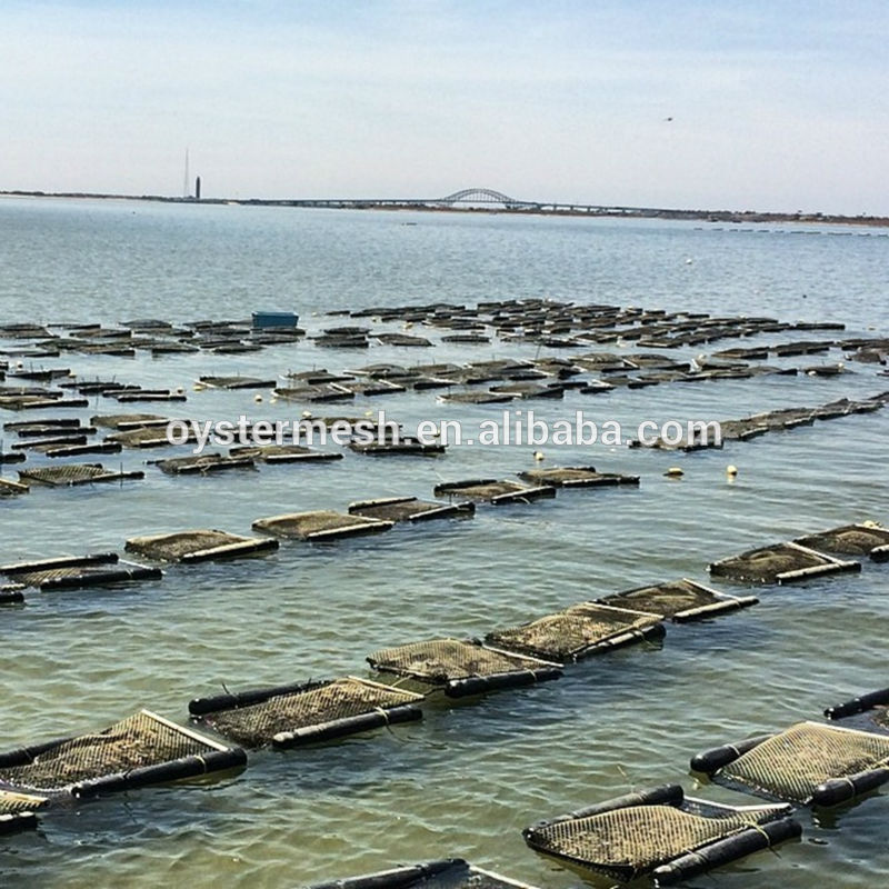 Oyster mesh,HDPE Diamond&Square Oyster Mesh