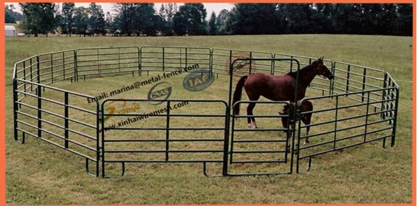 Wholesale Galvanized Used Horse Panel / Portable Horse Stall / Flexible Horse Fence