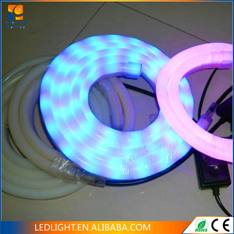 2018 Style 2W Lotus Shape Led Rope Light With CE And ROHS Dongguan Lighting