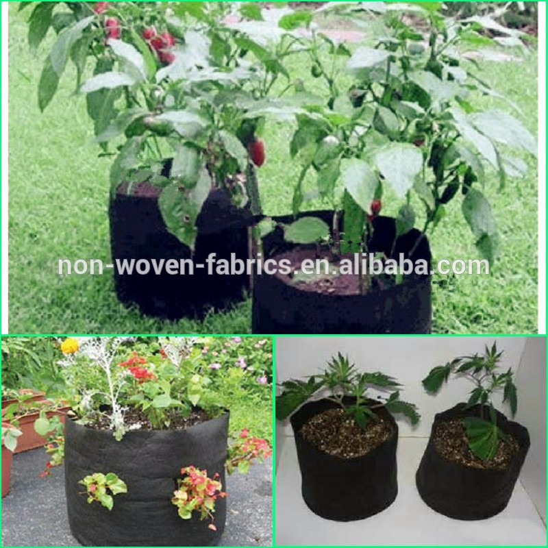 Wholesale geotextile nonwoven root pot seedling container used for plant breeding