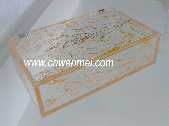 Acrylic Display Case,High Quality And Best Price Display Case