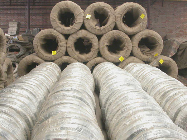 nail wire price per ton / hot dipped galvanized iron wire