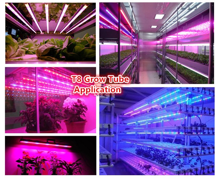 Customized Red Blue ratio 3:1 5:1 6:1 7:1 9:1 96pcs 2835SMD 1.2m 120cm 4ft 18W T8 Integrated fluence led grow light