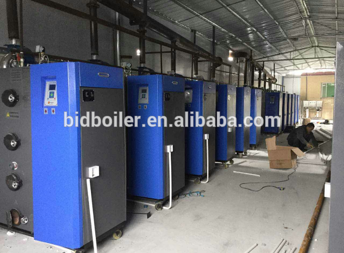 Biomass wood pellet water boiler for domestic heating