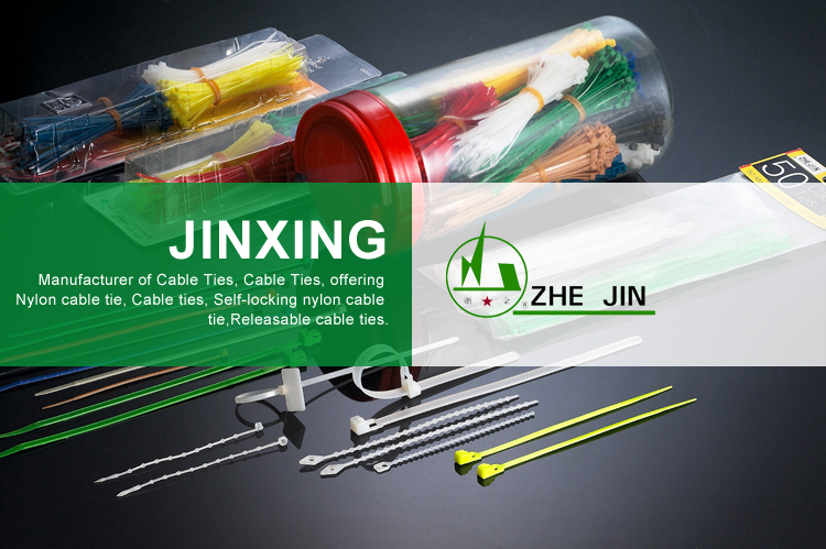 Zhe Jin Wenzhou Yueqing White Self Adhesive Plastic Cable Tie Mounts