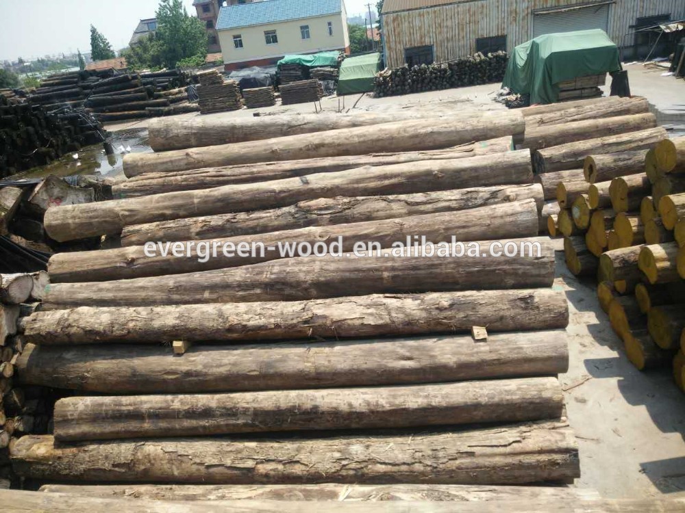 Burma teak round log natural teak whole sale