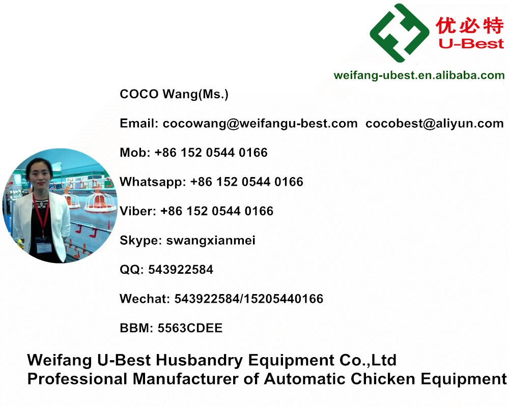 Poultry Controlled Shed Equipment Auto Silo Feeder Drinker Cooling Pad Heater for Farming Broiler Chickens