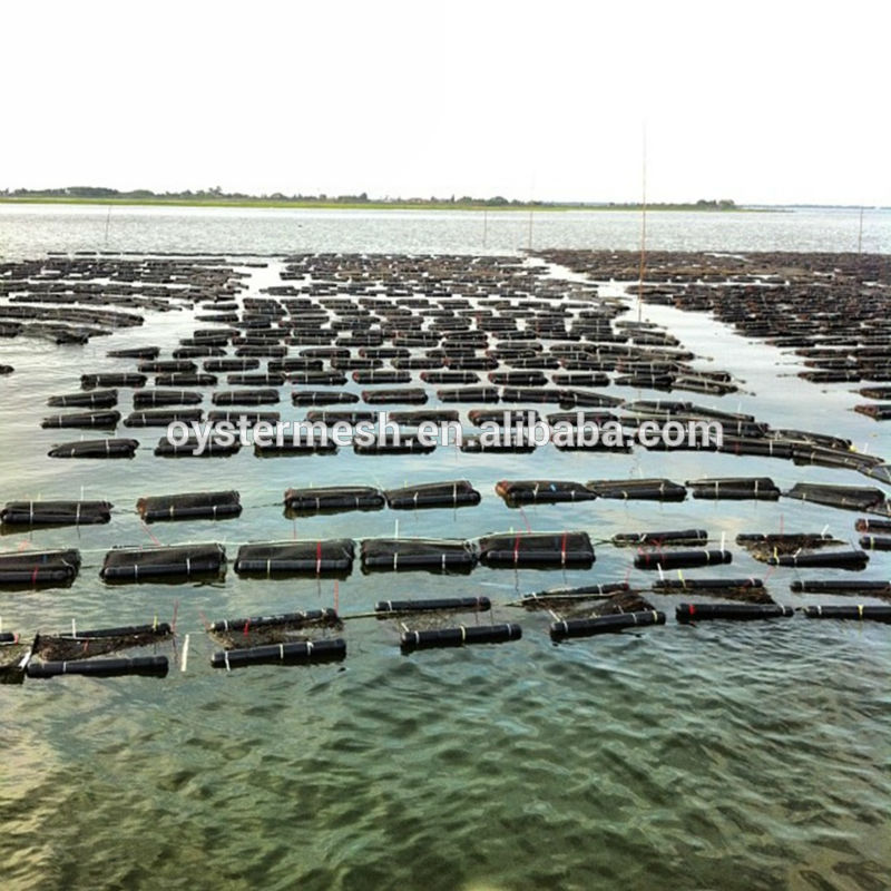 Oyster mesh,HDPE Diamond&Square Oyster Mesh