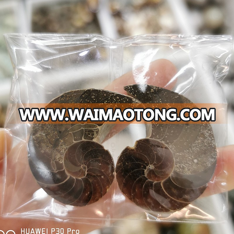 3-5CM Wholesale Natural Ammonite Fossils Jade Madagascar Conch Fossils Slices Conch Shell for Decor