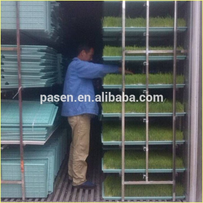 Hydroponic Barley Malting Machine /Green Grass Malting Machine for Sale