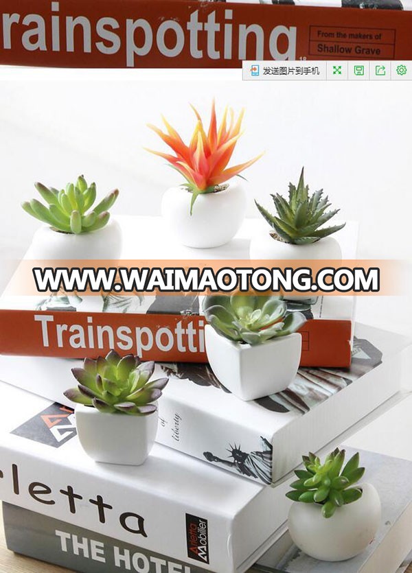 Hot sale plastic artificial succulent plant for fridge decoration