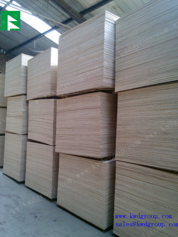 poplar plywood sheet / cheap plywood / birch plywood