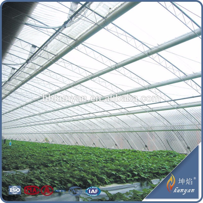 10 years quality safety 4mm twin wall greenhouse for wale