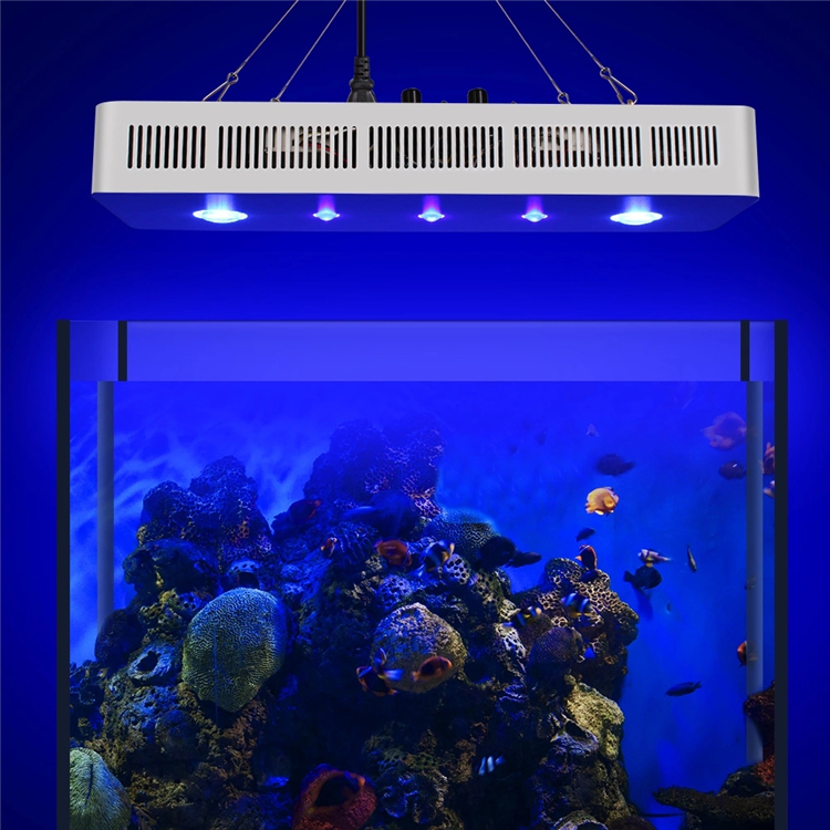 2019 Wifi remote control smart full spectrum 169w coral reef growing cob led aquarium light