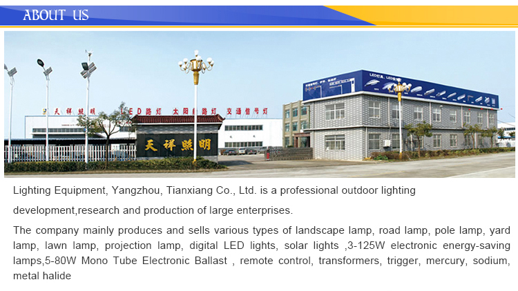 Factory Supplier High quality cold white light Dimmable led street Decorative lights best price