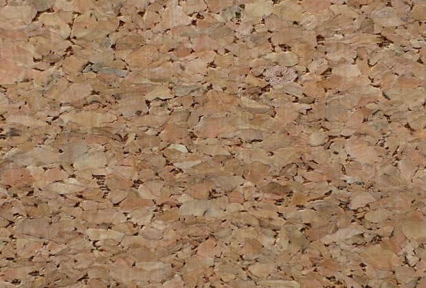 Natural Cork Fabric/rolled cork/cork paper