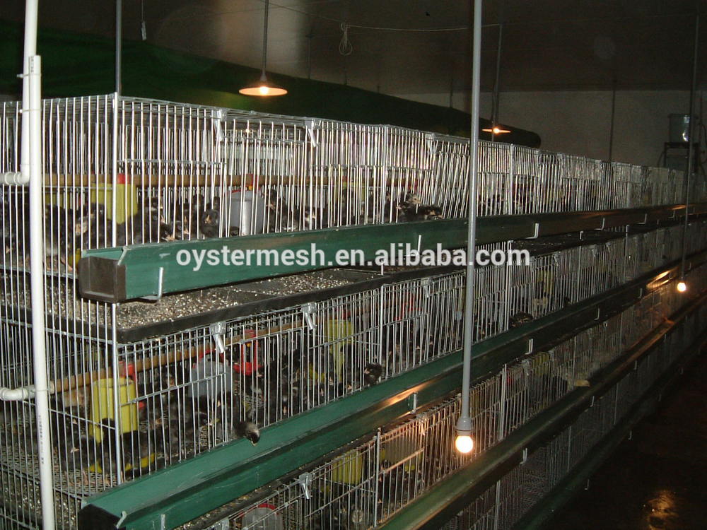 The 3 layer/4layers/5layer Chicken Cage