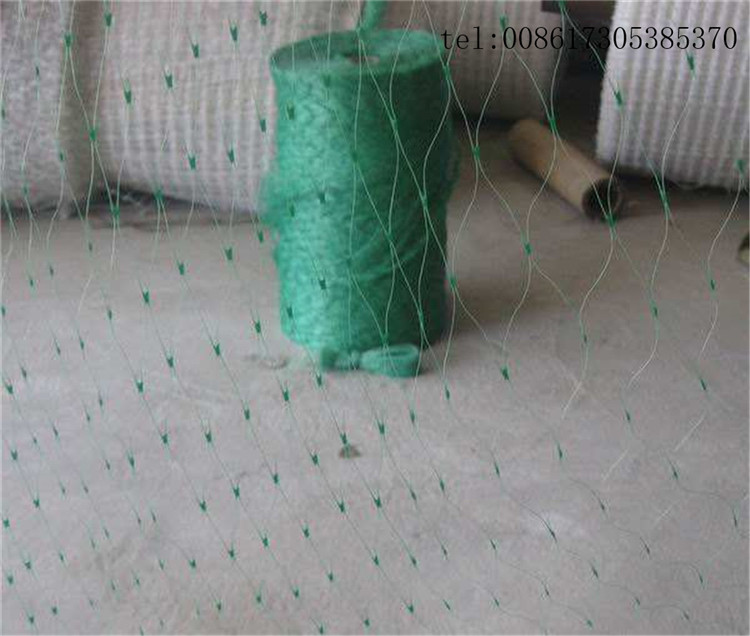 bop stretched olive tree net