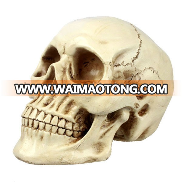 Halloween skeleton  decoration statue for home decoration