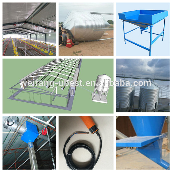 auto screw feeder Type and Chicken Use pan feeding line for broiler