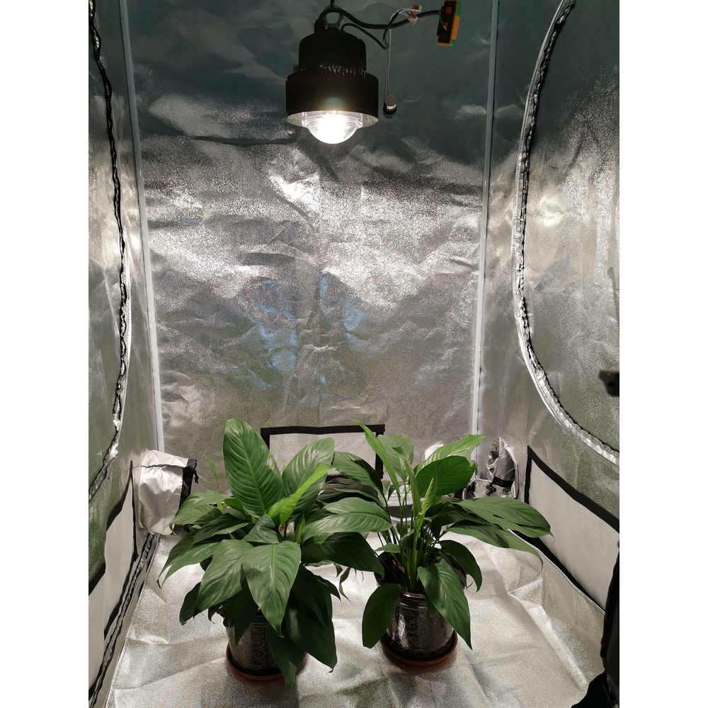 hidroponic system 100 watts cxb 3590 led grow light