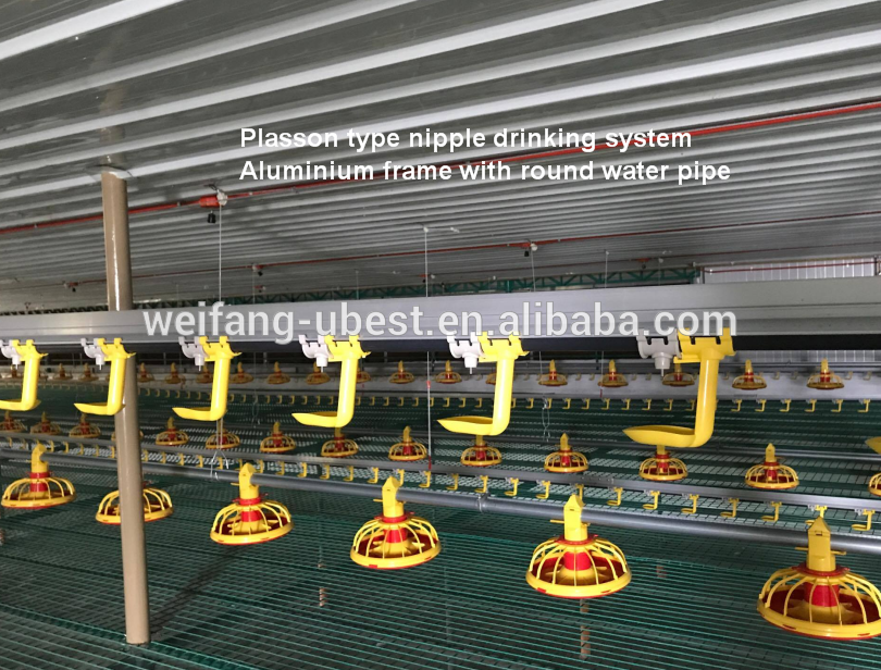 high quality broiler chicken machine chicken broiler farm house