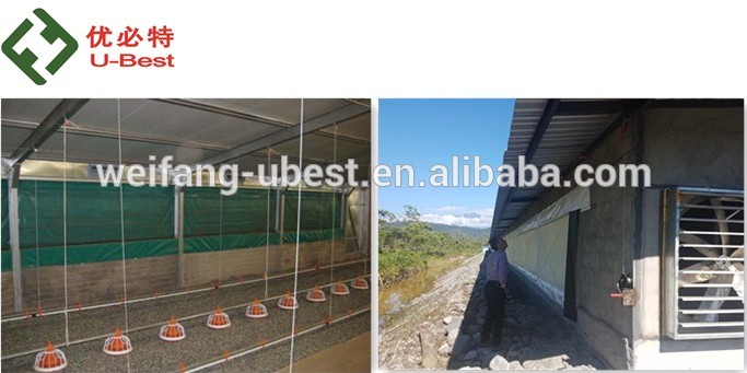 turnkey project for poultry farm design