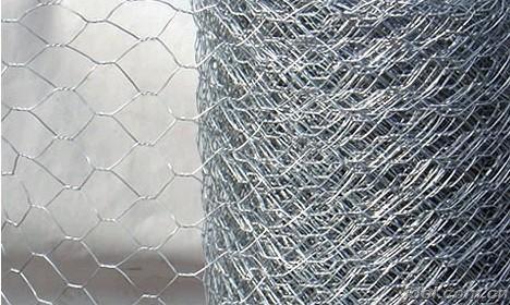 Gabion Wire Mesh fence