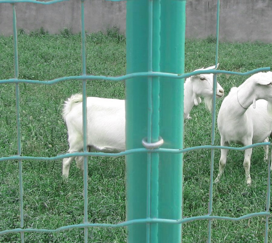 China manufacture high quality farm fence electric netting fence cattle fence used