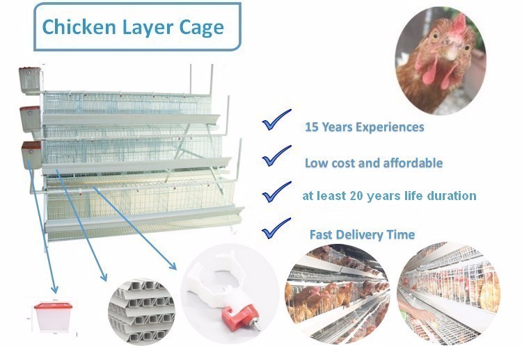 Labor Saving Kenya Poultry Farm Chicken Battery Layer Cages for laying hens