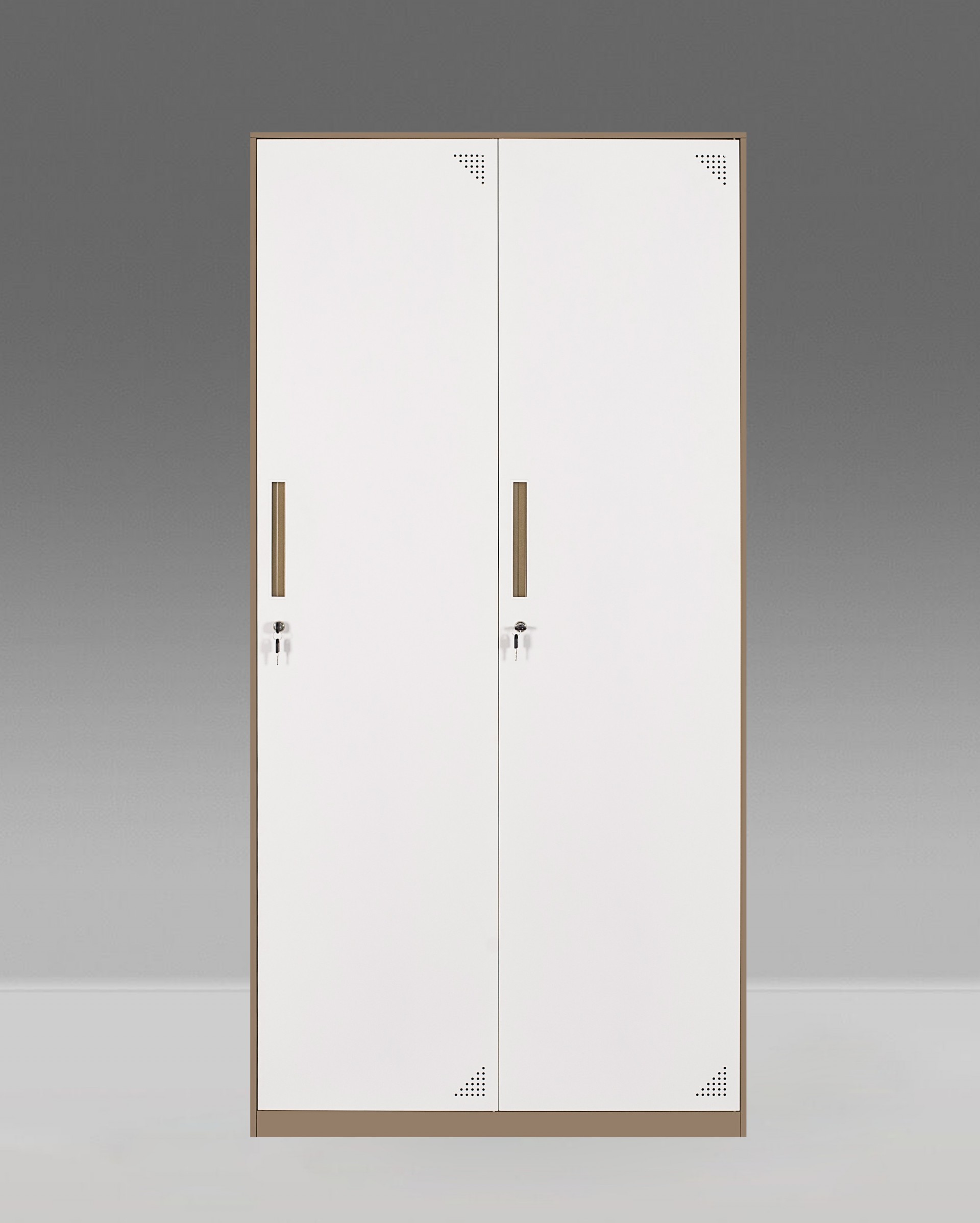 Wholesale Metal Cabinet Thin Edge Profile 2 Swing Doors Steel Cupboard for Clothes