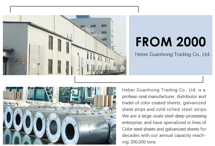 World standard galvanized base color coated steel coil ppgi