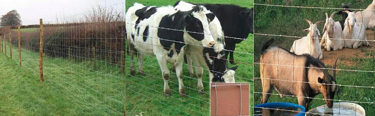 Construction Safety Fences Easily Assembled Galvanized Cattle Field Fencing