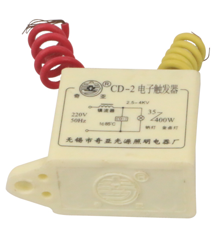 high quality electronic ignitor 220V