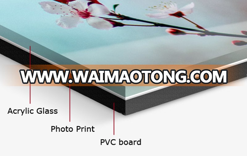 China Supplier Custom Digital Glass Print Wall Hanging Acrylic Photo Prints