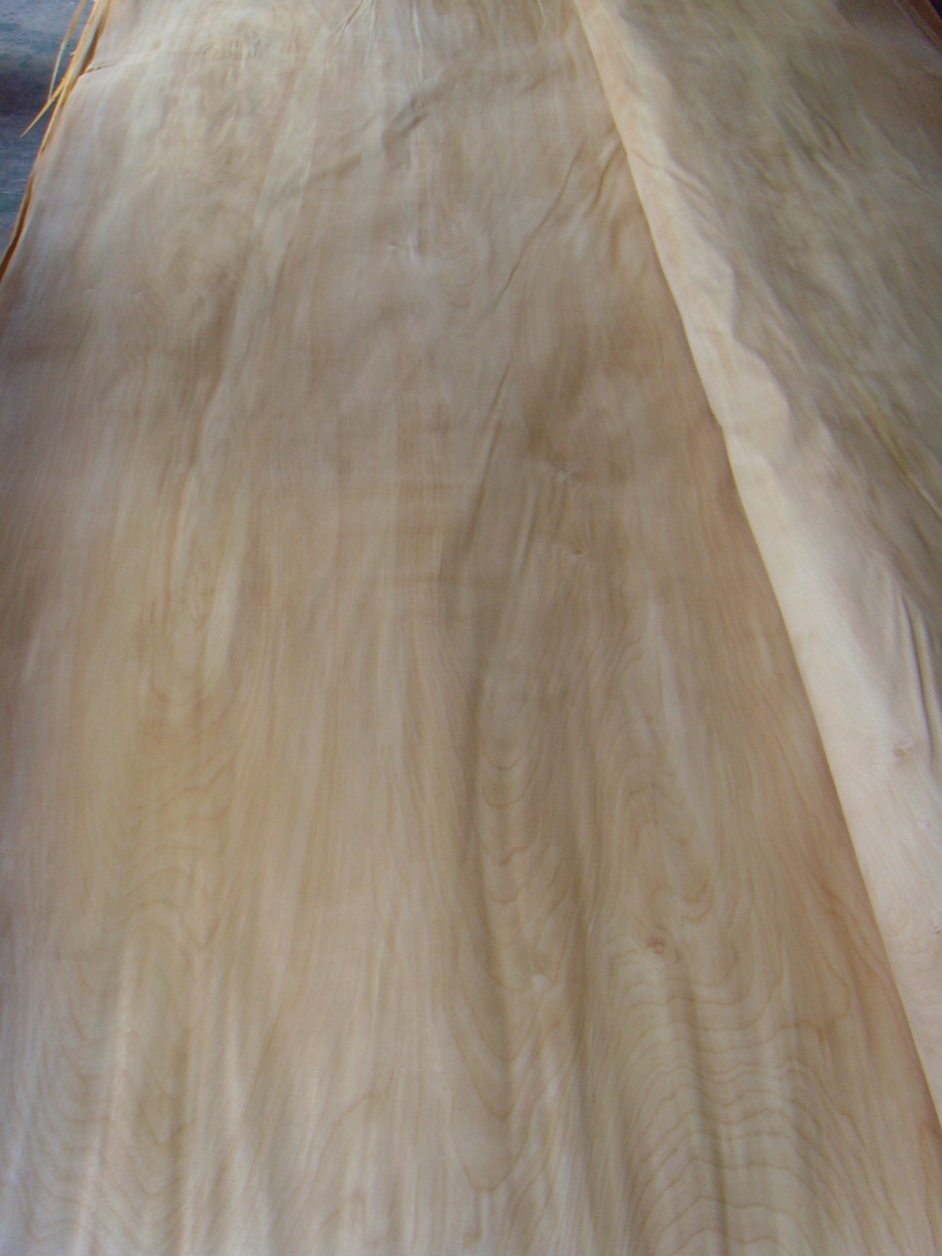 ROTARY CUT CHINA BIRCH WOOD VENEER