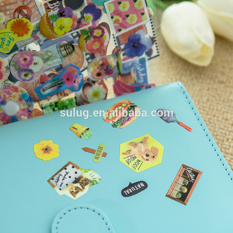 Hand-book album decorative stickers DIYpinup picture