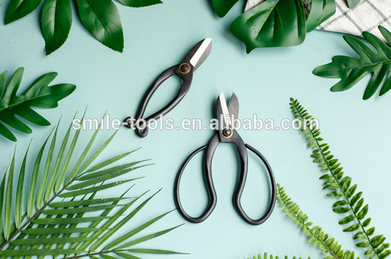 Professional Steel Blade Bonsai Shears and Bonsai Flower Scissors