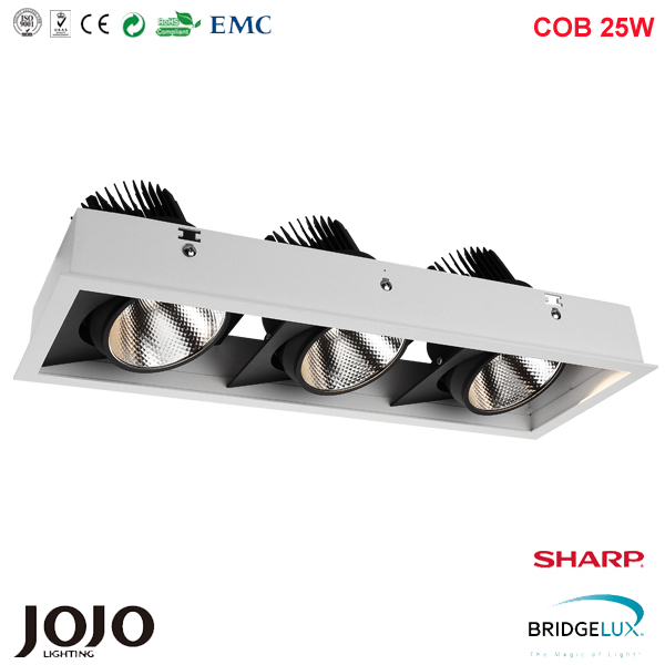 2 x 10W cob led commercial lighting with sharp led