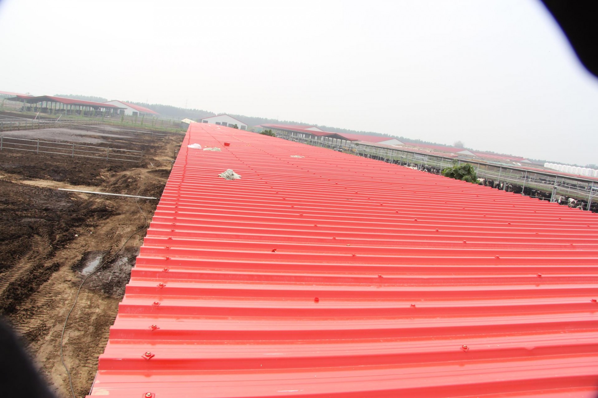 Discount corrugated UPVC TEJA 3 layer upvc roof sheet